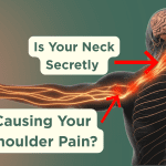 Why Shoulder Pain Often Starts in the Neck (Not the Shoulder)