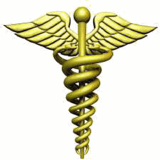 Wellbeing Chiropractic | Just another WordPress site
